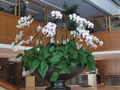 大堂-金海湾自助餐厅(金陵饭店)