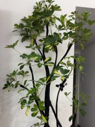-S&G Beauty轻奢皮肤管理中心