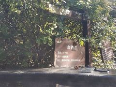 -仁爱团泊湖温泉中心