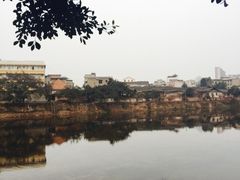 -周记翘脚牛肉