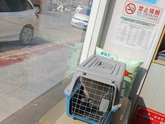 -芭比堂动物医院·CT·微创中心(新顺分院)