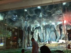 -帝企鹅自助餐厅•儿童岛•真企鹅(长隆企鹅酒店)