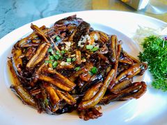 响油鳝丝-新聚丰菜馆(太监弄店)