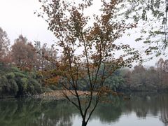 -茅家埠