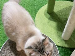 -白兔子密室(长寿路店)