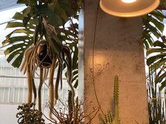 -自由生长植物工作室(深港花卉中心店)