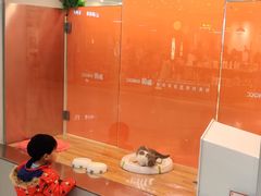 -狗道宠物(常熟印象城店)