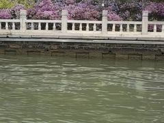 -皇家御河游(紫御湾码头)