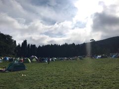 -武陵山森林公园