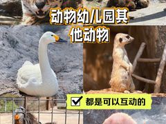 -青岛森林野生动物世界