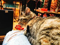 -在路上酒吧(大理古城店)