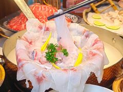 -渔惑·中山脆肉鲩火锅(仁恒梦店)