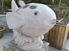 -天正河鲀·河豚亭(大连店)