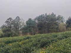 -南京市无想山景区