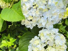 -星巴克臻选(深圳罗湖万象城店)