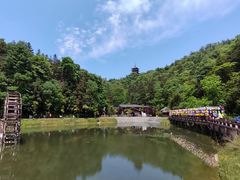-酒仙湖景区