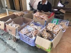 -文昌铺前老街