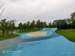 -南汇新城城市公园