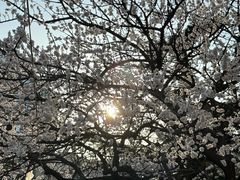 -大连老虎滩海洋公园