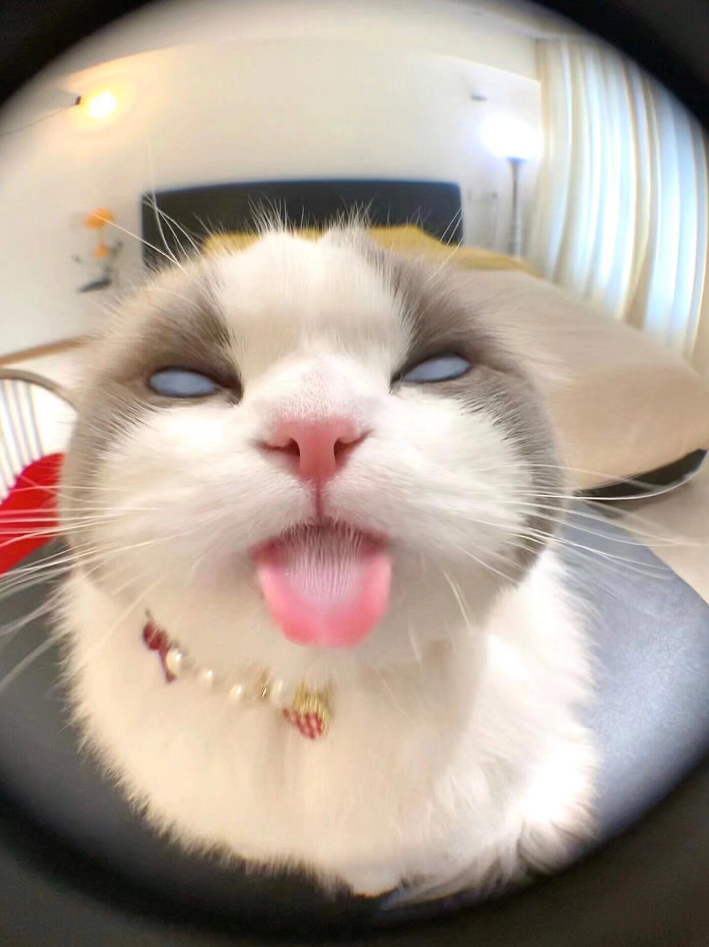 看我给你翻个白眼