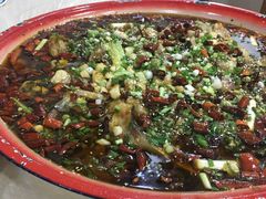 -东吴霸王兔(松青路店)