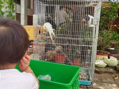 -姥家大锅台水库渔家
