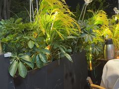 -木屋烧烤(龙岗龙城万科里店)