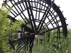 -洋湖国家湿地公园