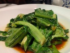 豉汁油麦菜-绿茶餐厅(成都太古里店)