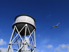 -阿尔卡特拉斯岛