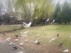 -银树楼(紫玉山庄东区店)