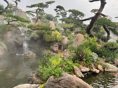 -罗红摄影艺术馆