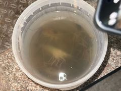 -粮心小农·大头虾亲子生态园(长发店)