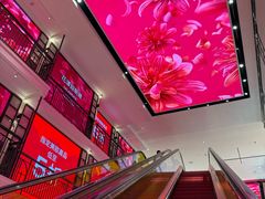 -DFS迪斐世(香港广东道店)
