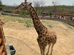 -济南野生动物世界