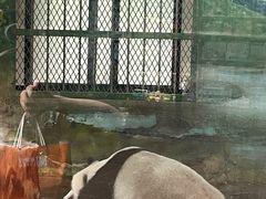 -上海野生动物园