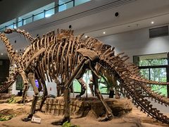 -自贡恐龙博物馆
