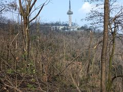 -岳麓山风景名胜区