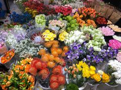 -双季花艺园艺市场(浦东店)