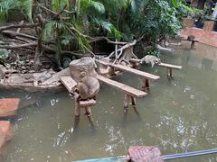 -长鹿旅游休博园