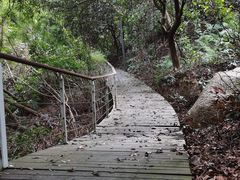 -燕晗山郊野公园