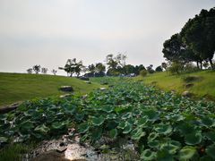 -滆湖低碳生态公园