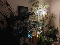 -石家庄万象城