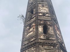 -上海佘山国家森林公园天马山园