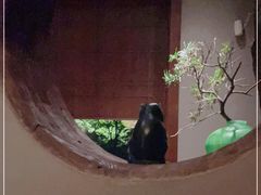 -见山茶事(丽水路店)