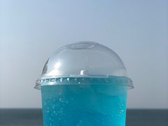 -海岛日记(养马岛店)