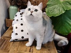 -小时光咖啡馆(北锣鼓巷店)