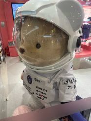 点击看大图 -TeddyTales莉娜熊(国贸店)