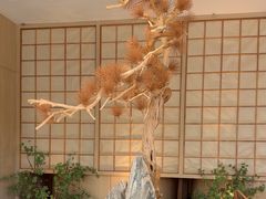 -蜜桃餐厅·伴山(湖滨商业街店)