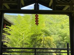 -大唐贡茶院